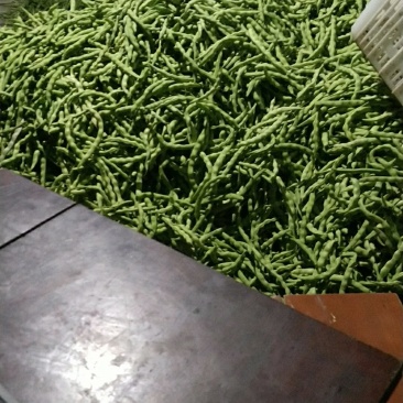 大青豆