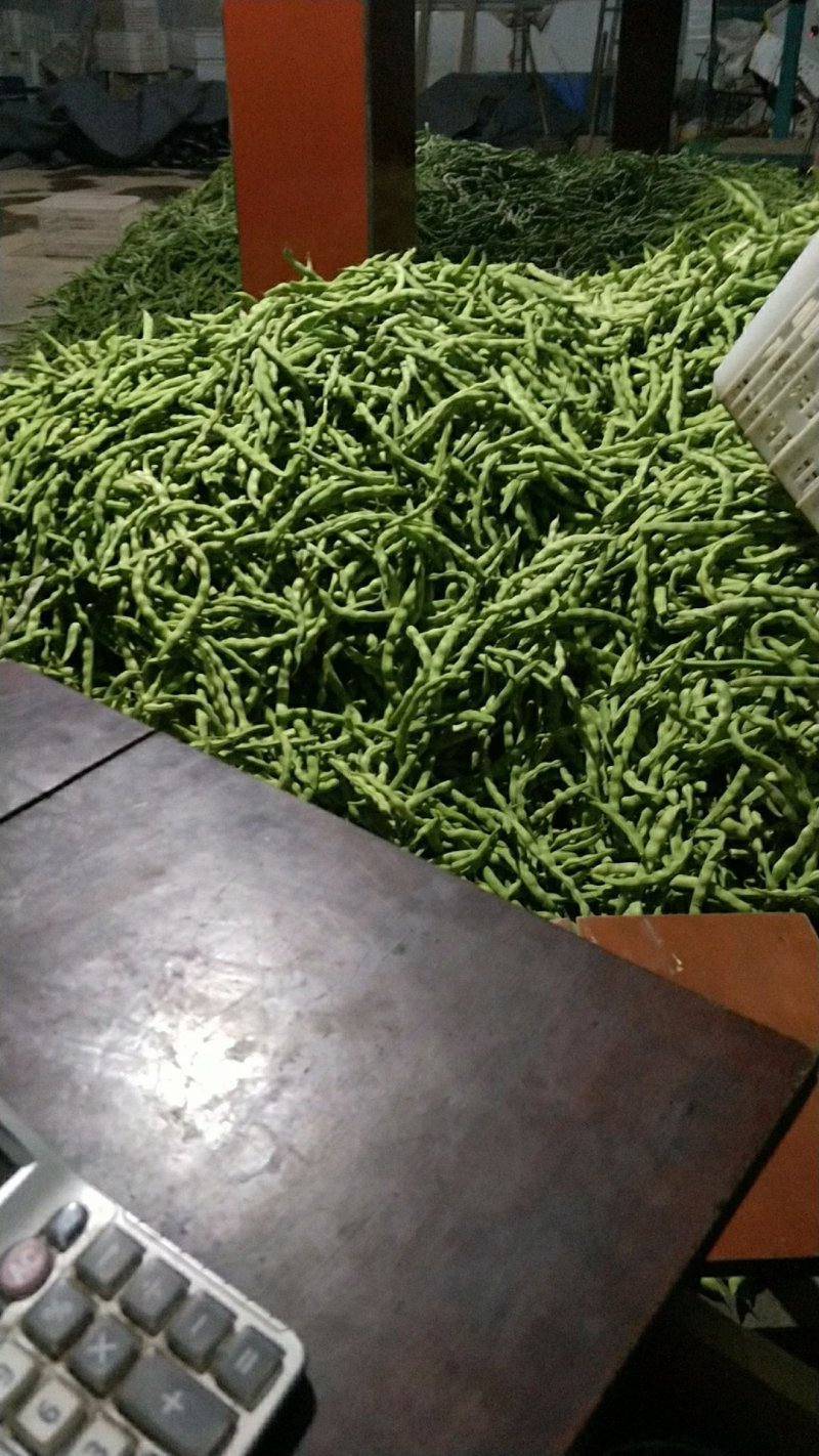 大青豆