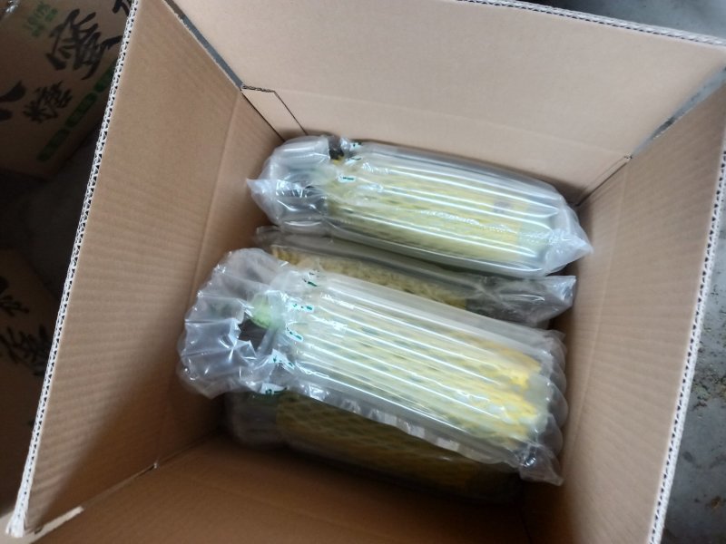 小蜜峰甜瓜大量上市熟度好口感脆甜，支持各平台电商一件代发