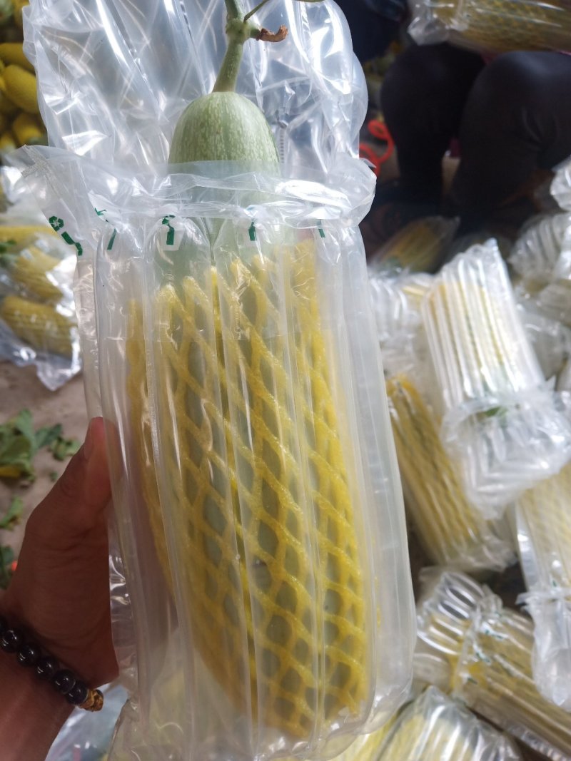 小蜜峰甜瓜大量上市熟度好口感脆甜，支持各平台电商一件代发