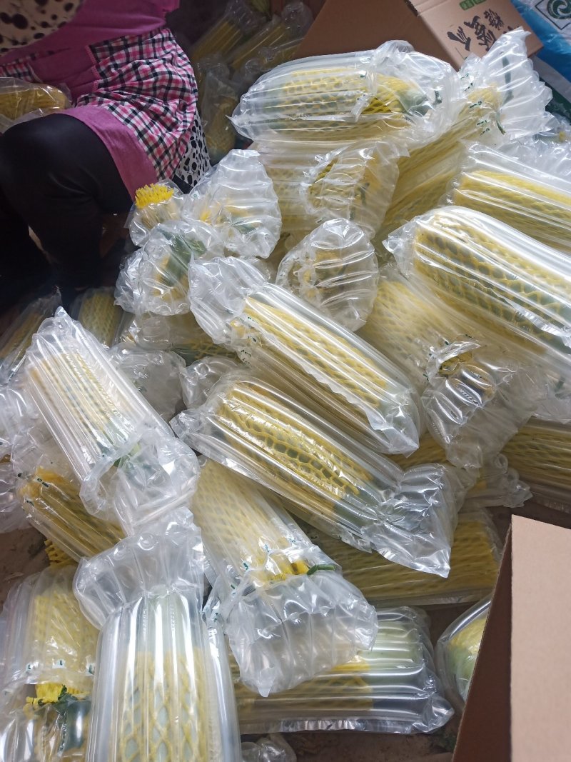 小蜜峰甜瓜大量上市熟度好口感脆甜，支持各平台电商一件代发