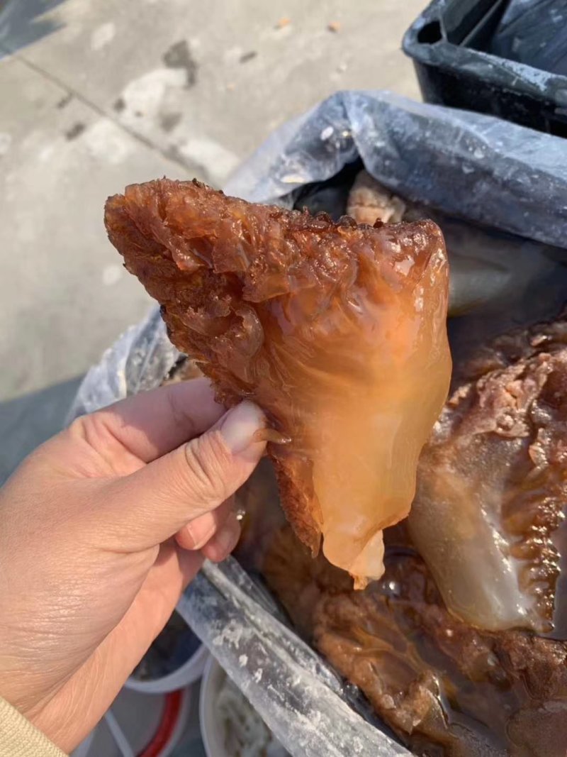 即食海蛰头，凉拌，直接吃，大量有货，欢迎订购