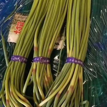 蒜薹