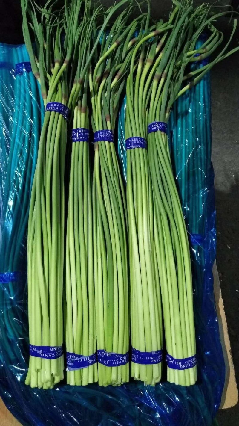 蒜薹