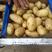 土豆，黄心土豆，荷兰土豆，有希森六号，欢迎老板实地考察