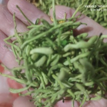【产地直销】精品金银花，无硫，特级挑选货，茶用，批发零售。