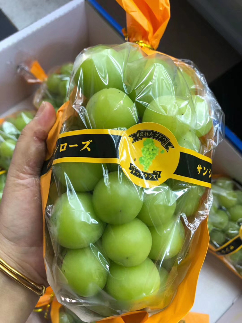阳光玫瑰包装袋晴王葡萄包装袋