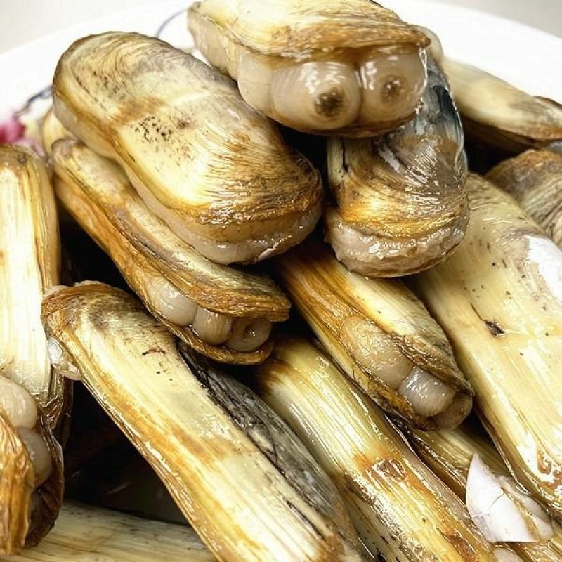鲜活水产蛏子双头蛏壳薄肉大海鲜水产鲜活活体贝壳类小人仙