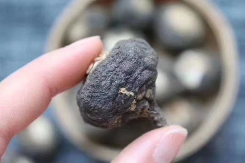 【产地直销】云南玛卡（干货）纯玛卡粉一手货源包邮