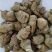 【产地直销】云南玛卡（干货）纯玛卡粉一手货源包邮