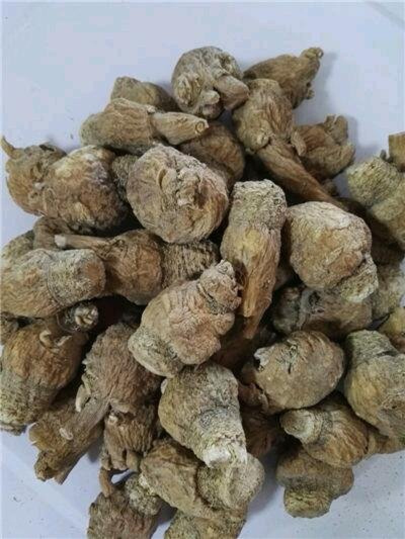 【产地直销】云南玛卡（干货）纯玛卡粉一手货源包邮