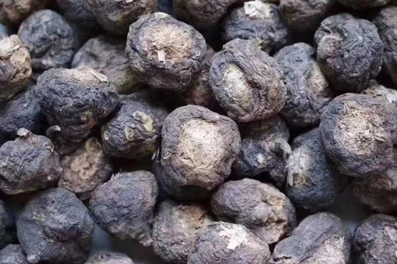 【产地直销】云南玛卡（干货）纯玛卡粉一手货源包邮