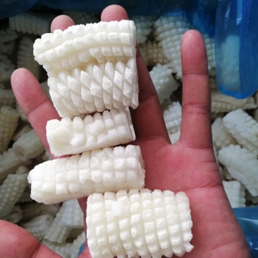 鱿鱼花目鱼花鱿鱼卷真鱿鱼花假一罚百出口品质