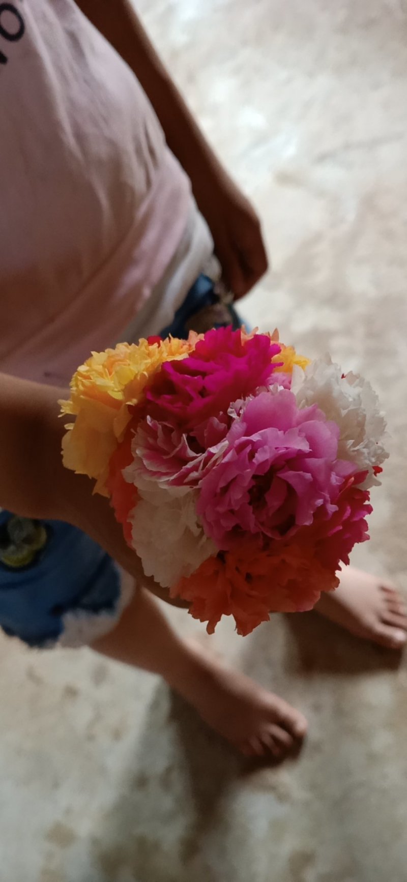 太阳花苗，有土就活，，死不了的七彩太阳花