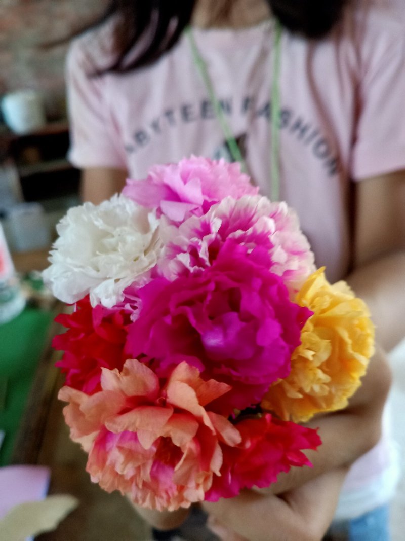 太阳花苗，有土就活，，死不了的七彩太阳花