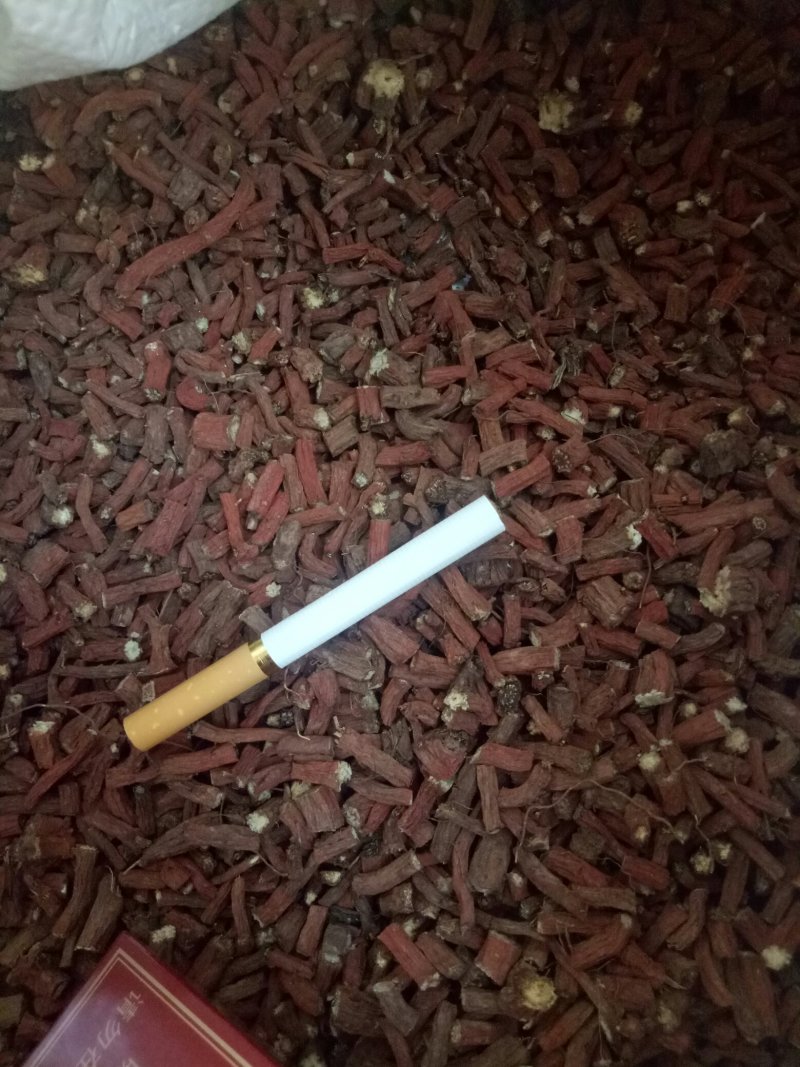 丹参