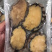 鲍鱼它的营养价值非常高，常被人们认为是山珍海味