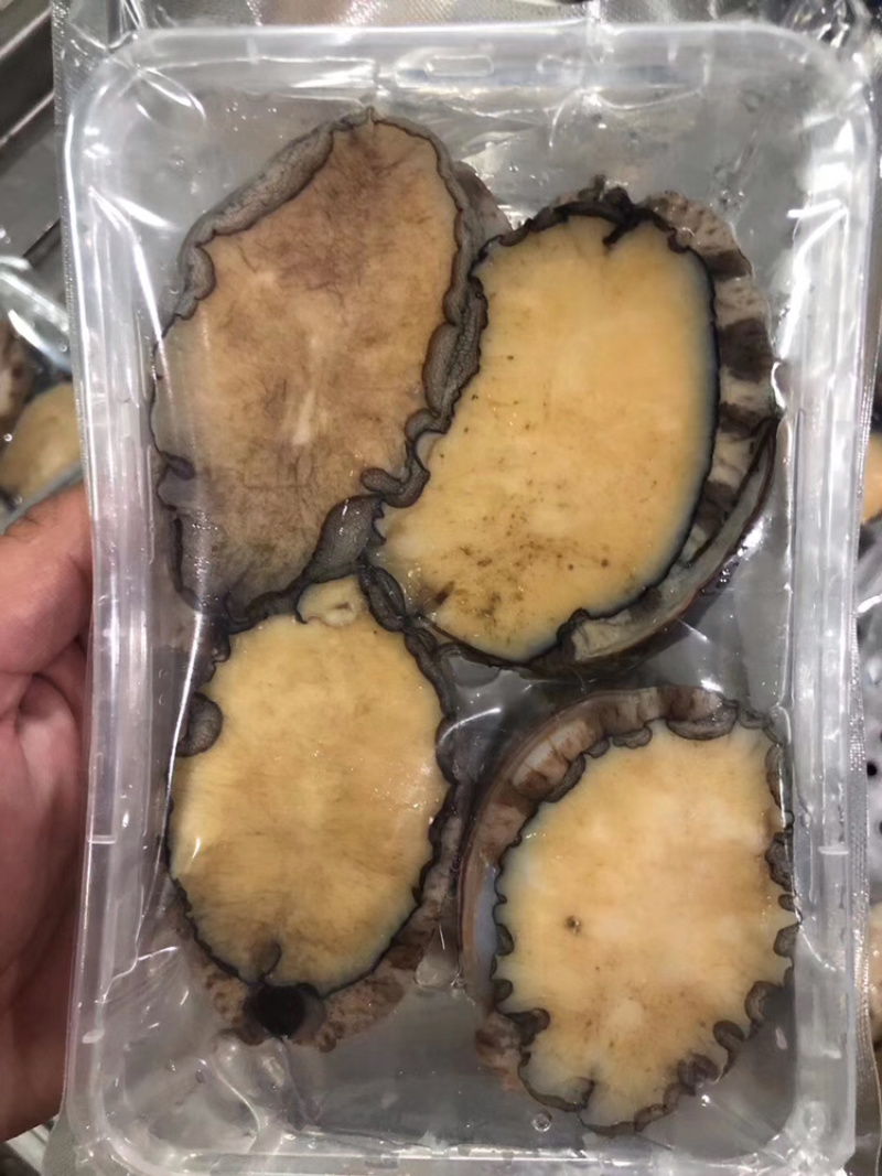鲍鱼它的营养价值非常高，常被人们认为是山珍海味