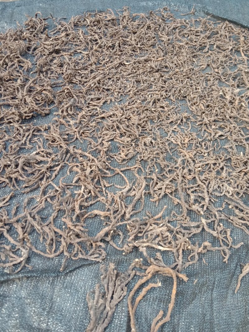 中药材石菖蒲