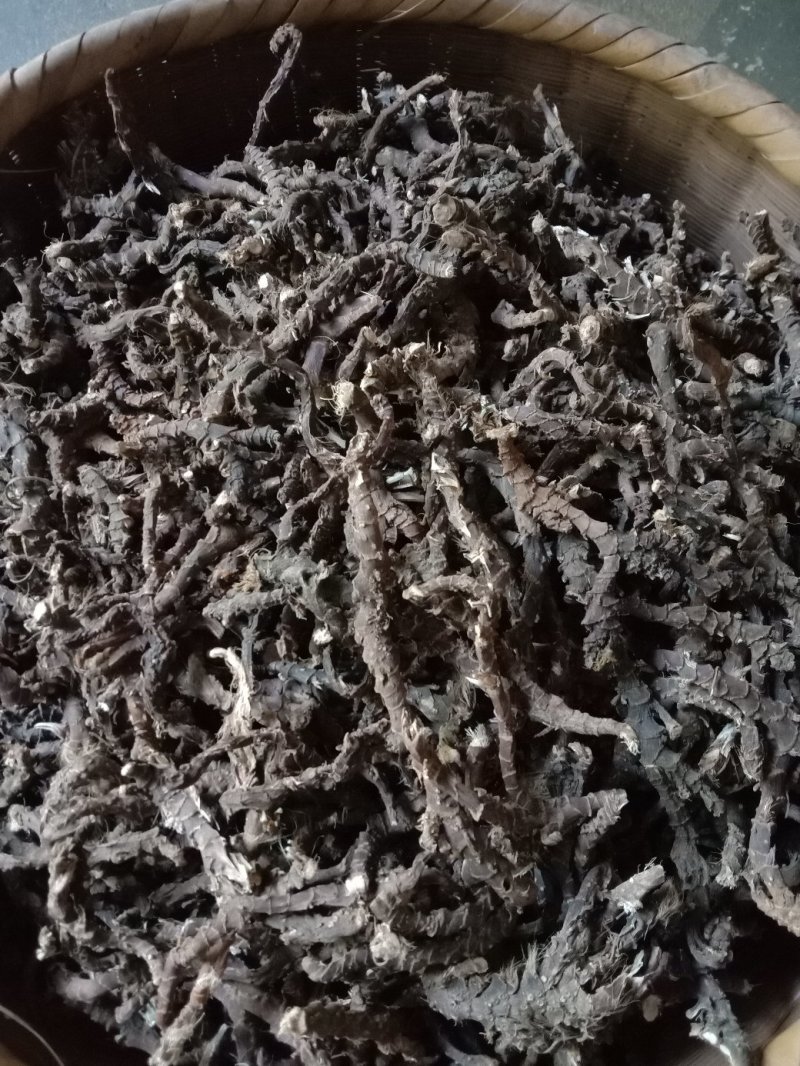 中药材石菖蒲