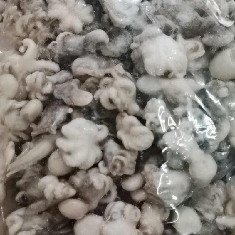 海洋王宫迷你小章鱼20斤小八爪鱼章鱼小丸子苏浙沪皖包邮