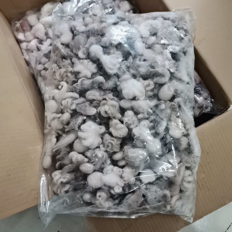 海洋王宫迷你小章鱼20斤小八爪鱼章鱼小丸子苏浙沪皖包邮