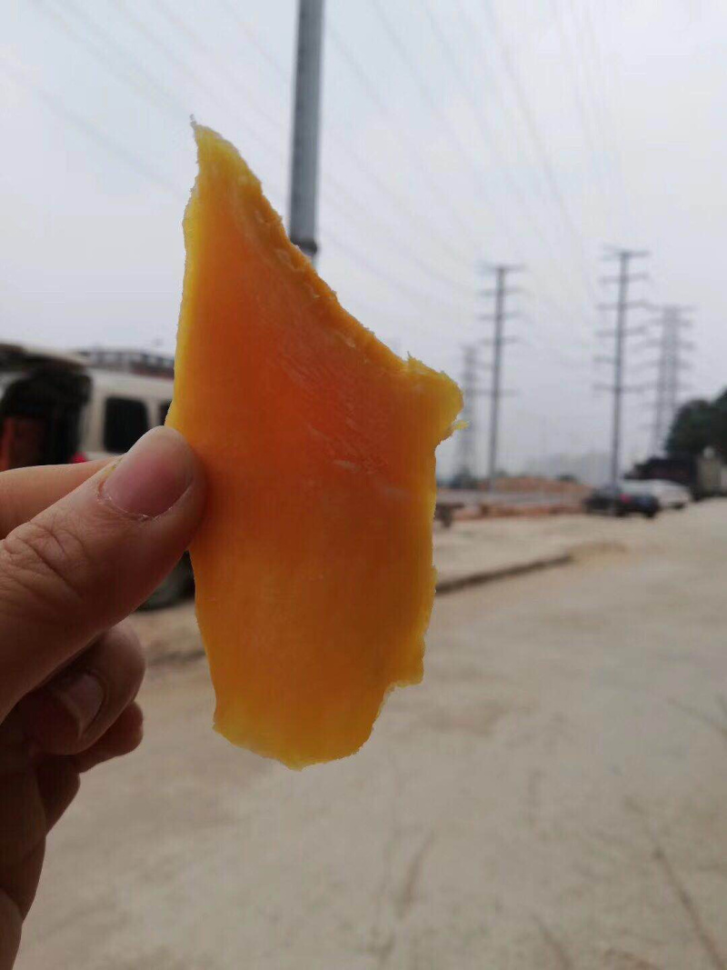 芒果干