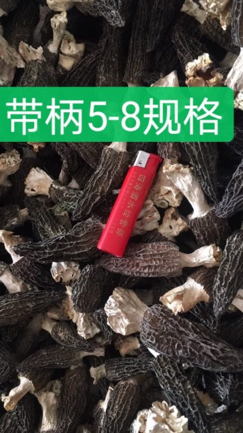 2022新货肉厚去柄羊肚菌干货基地产地直销各种规格