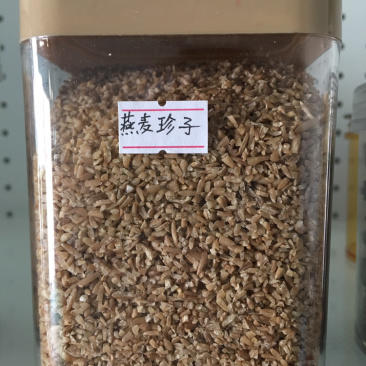 原产地直销甘肃定西岷县燕麦小粒
