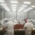 即食小龙虾十三香电商团购餐饮直供一件代发