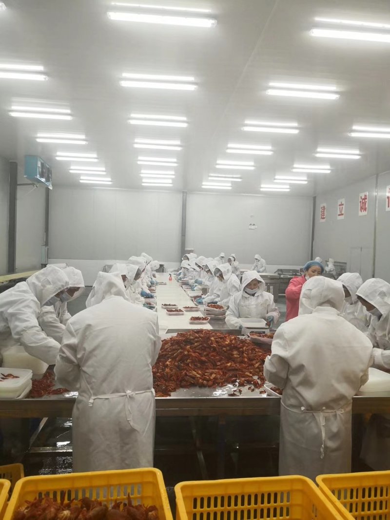 即食小龙虾十三香电商团购餐饮直供一件代发