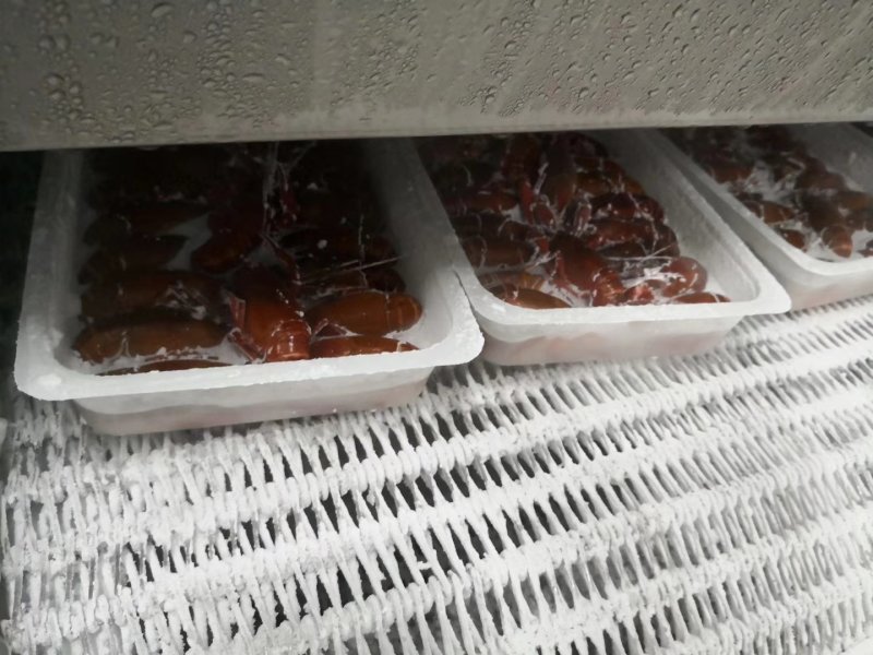 即食小龙虾十三香电商团购餐饮直供一件代发