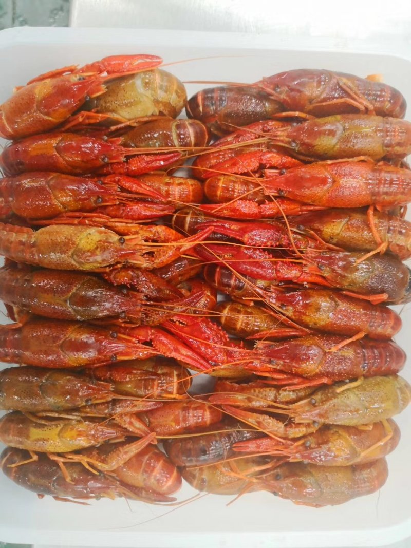 即食小龙虾十三香电商团购餐饮直供一件代发