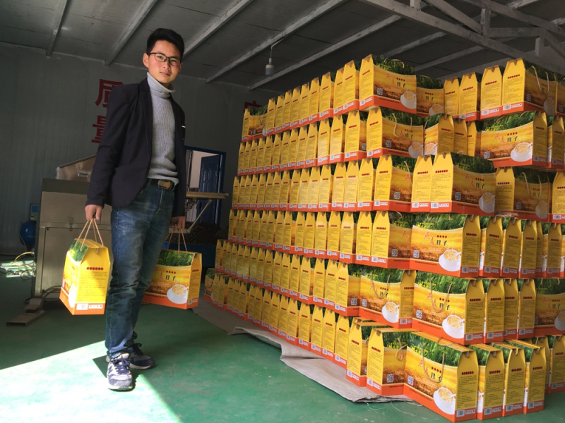 原产地直销甘肃定西岷县燕麦小粒