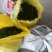 奉节正品脐橙枳实中药材正品脐橙枳实特级无硫量大