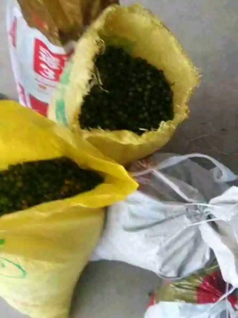 奉节正品脐橙枳实中药材正品脐橙枳实特级无硫量大