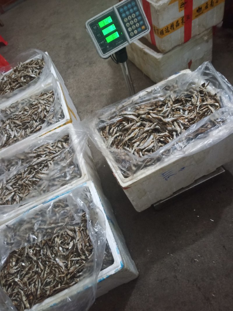 鱼干