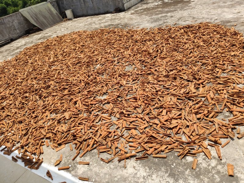 桂皮原产地一手货无硫无霉精选