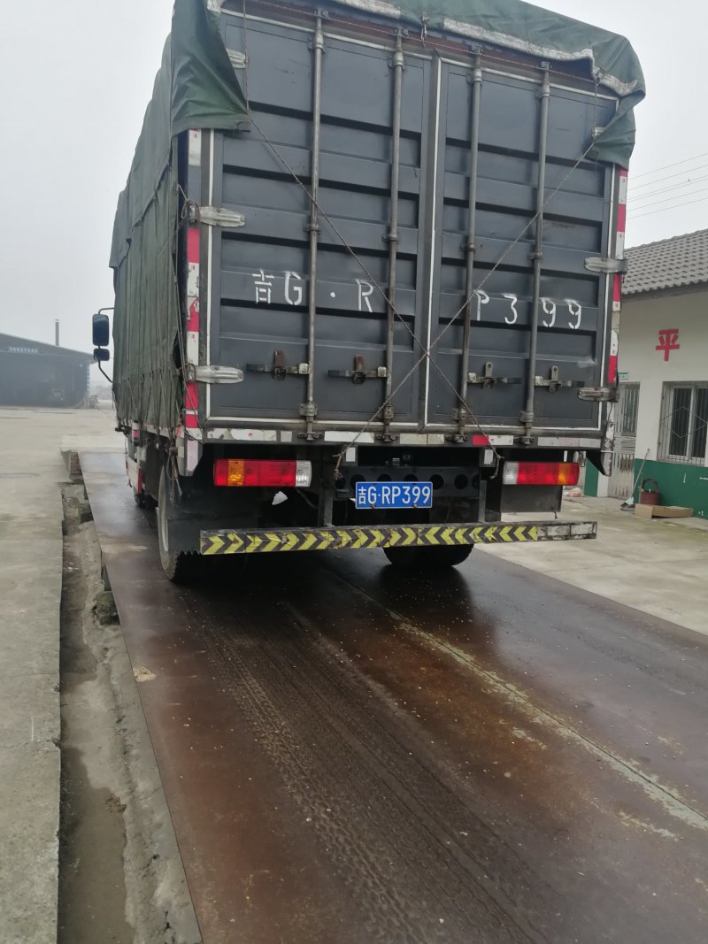 优质黄心土豆