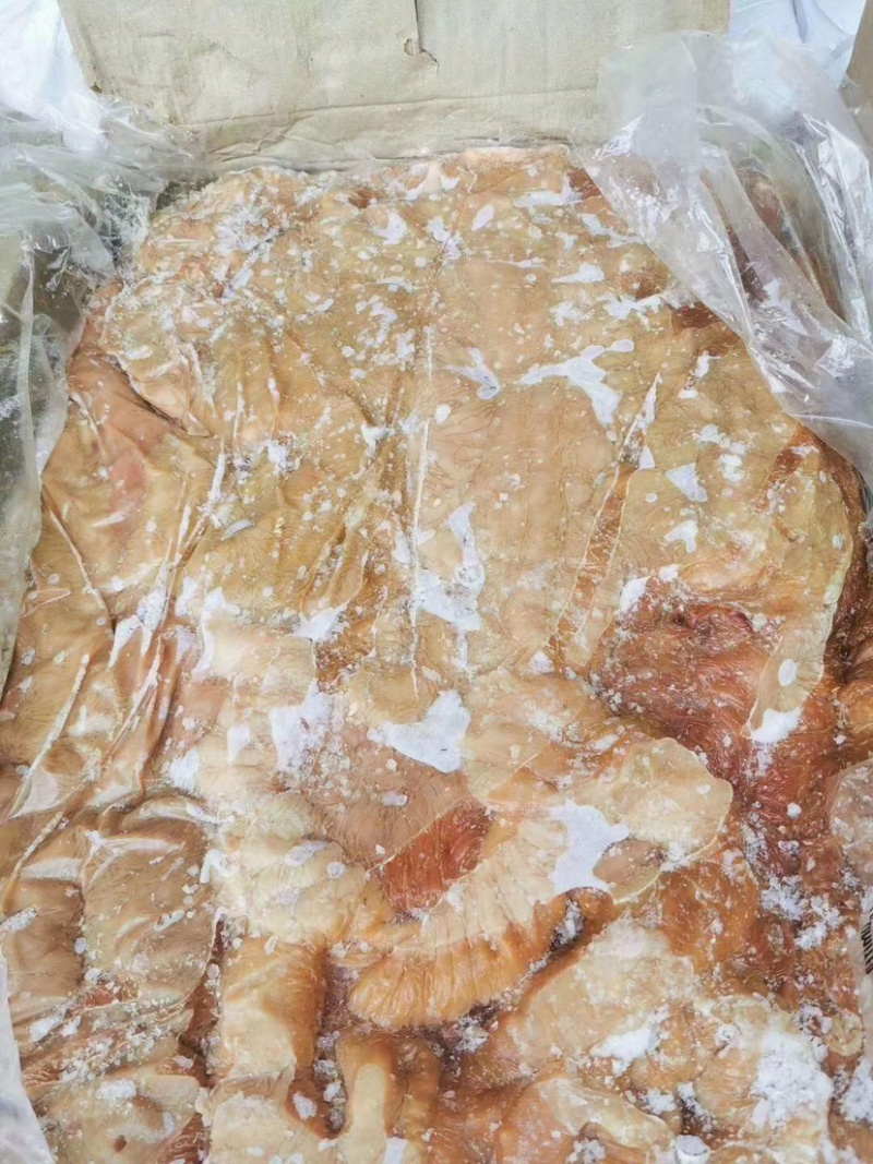 【驴板肠】驴板肠免洗驴板肠出肉率高颜色新鲜质量好出肉率高