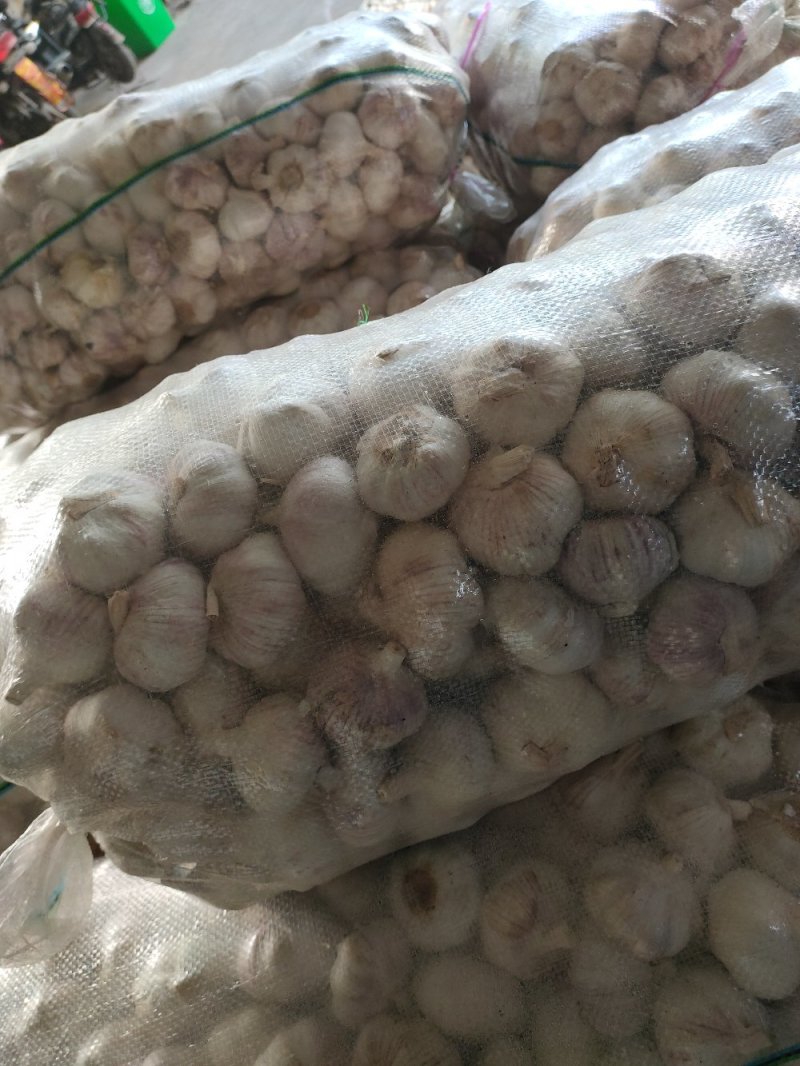 优质金乡杂交保鲜精品干大蒜，产地直供没有中间商