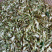 槐花杨槐花槐树花速冻洋槐花