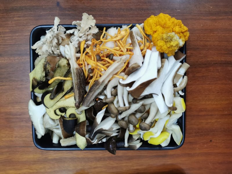 野生菌礼盒羊肚菌松茸菌支持一件代发