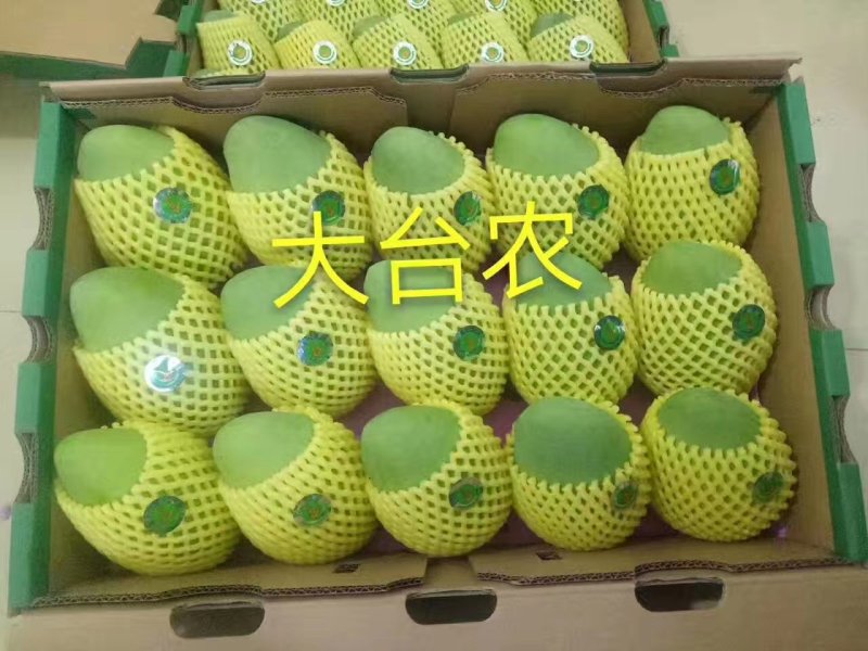 广西百色田东台农芒果，自家果园，现摘现发！支持一件代发！