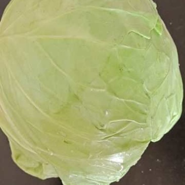 甘蓝