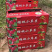 鸡心果123苹果K9苹果产地位于山区昼夜温差大