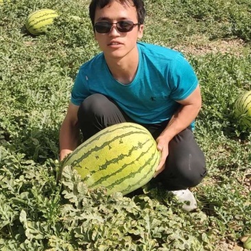宁夏中卫硒砂瓜，品质有保证价格合理对接全国欢迎来电