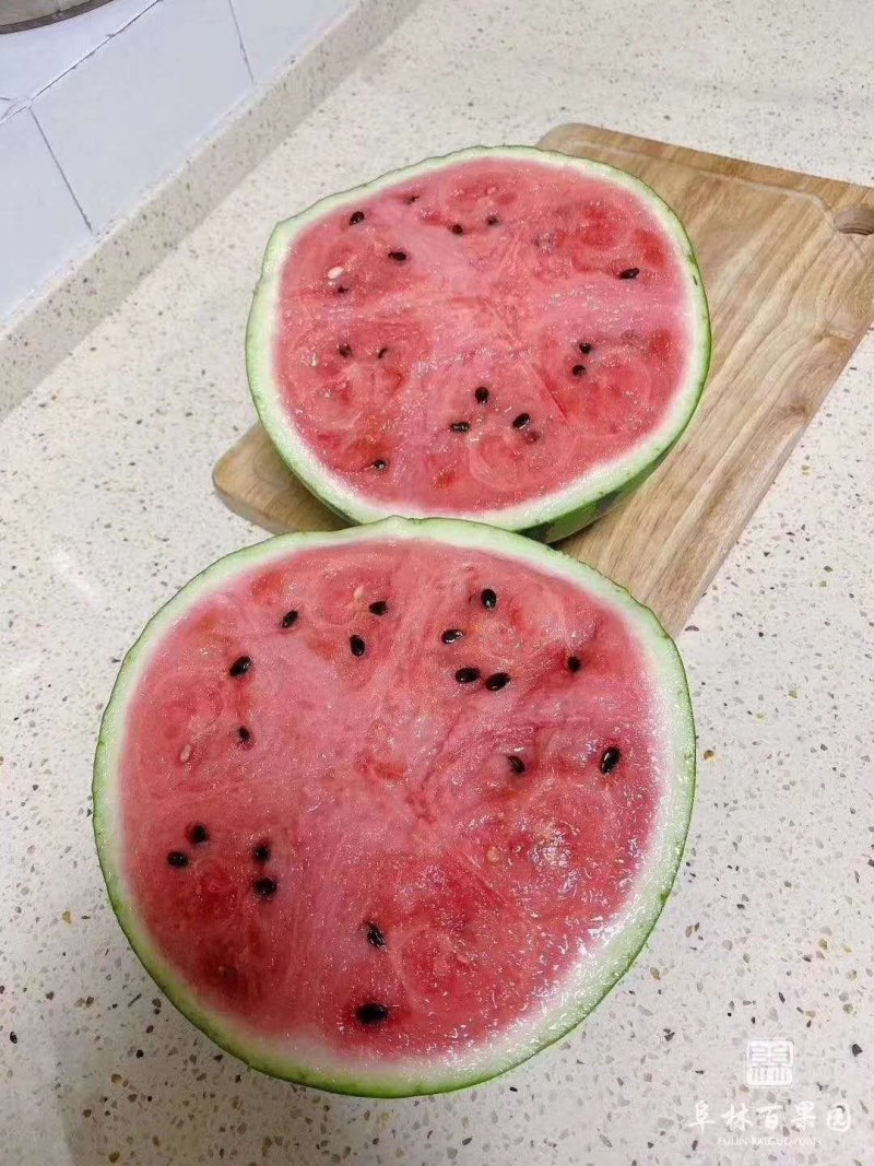 阜阳颍东大棚西瓜