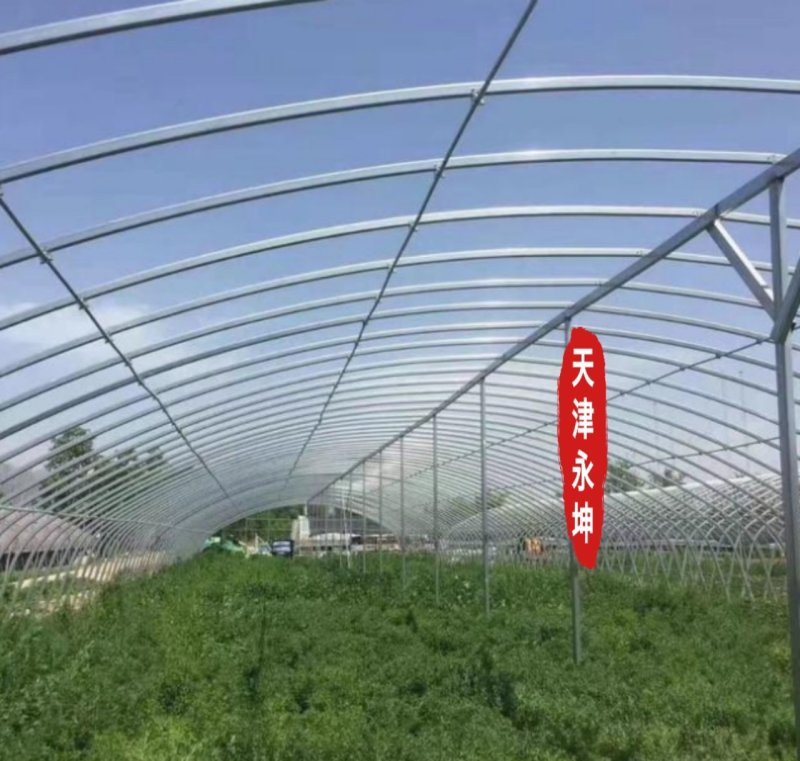 大棚蔬菜大棚草莓大棚种植西瓜大棚简易大棚安全有保障