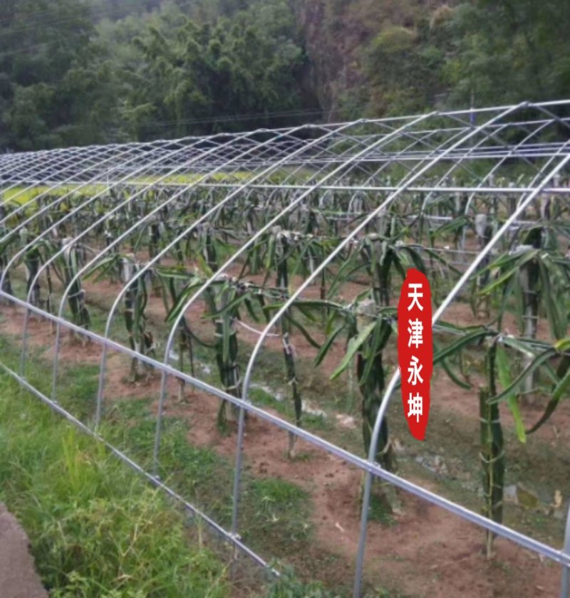 大棚蔬菜大棚草莓大棚种植西瓜大棚简易大棚安全有保障